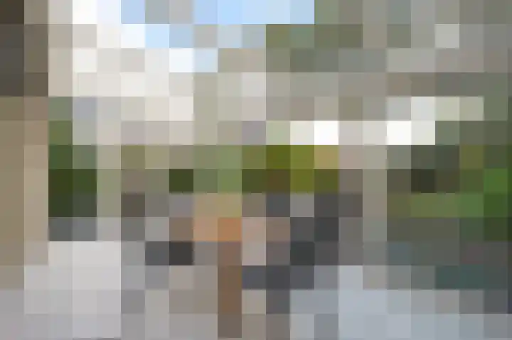 Zuidweg 31 Naaldwijk thumbnail 5