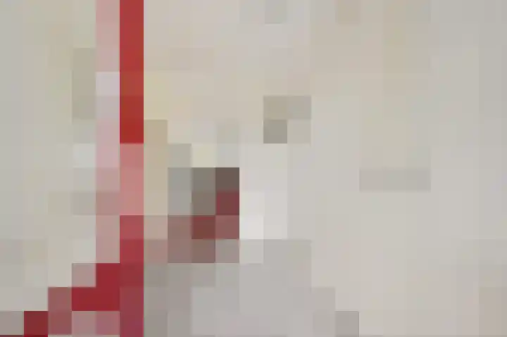 Zuidweg 31 Naaldwijk thumbnail 6