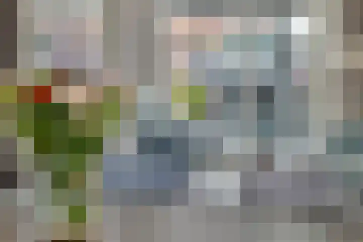 Zuidwellestraat 1 Zierikzee thumbnail 12