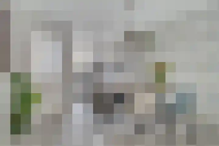Zuidwellestraat 1 Zierikzee thumbnail 9