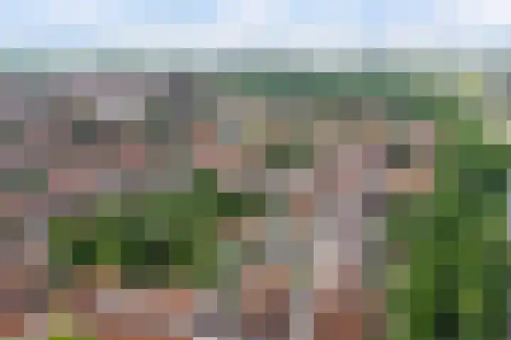 Zuidwellestraat 39 Zierikzee thumbnail 30