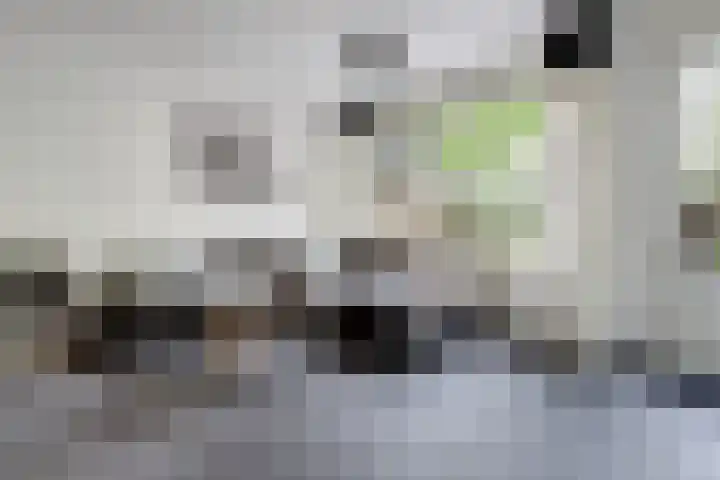 Zuidwellestraat 39 Zierikzee thumbnail 8