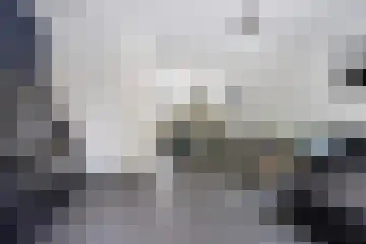 Zuidwellestraat 39 Zierikzee thumbnail 9