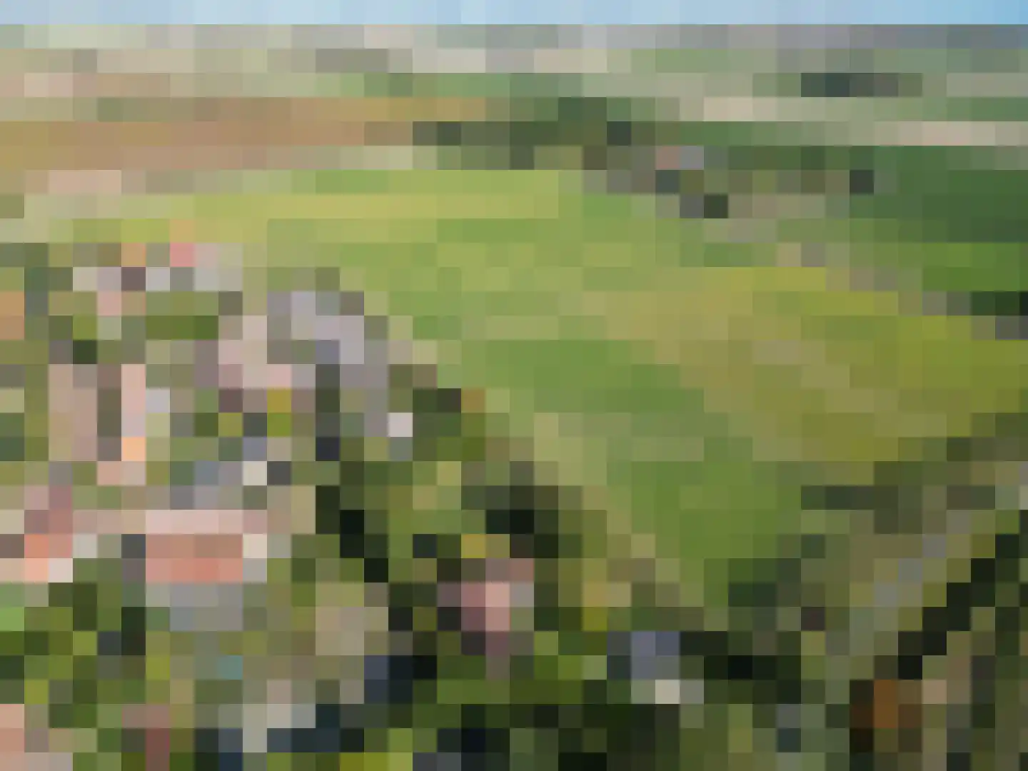 Zuidwelleweg 3 Noordwelle thumbnail 33