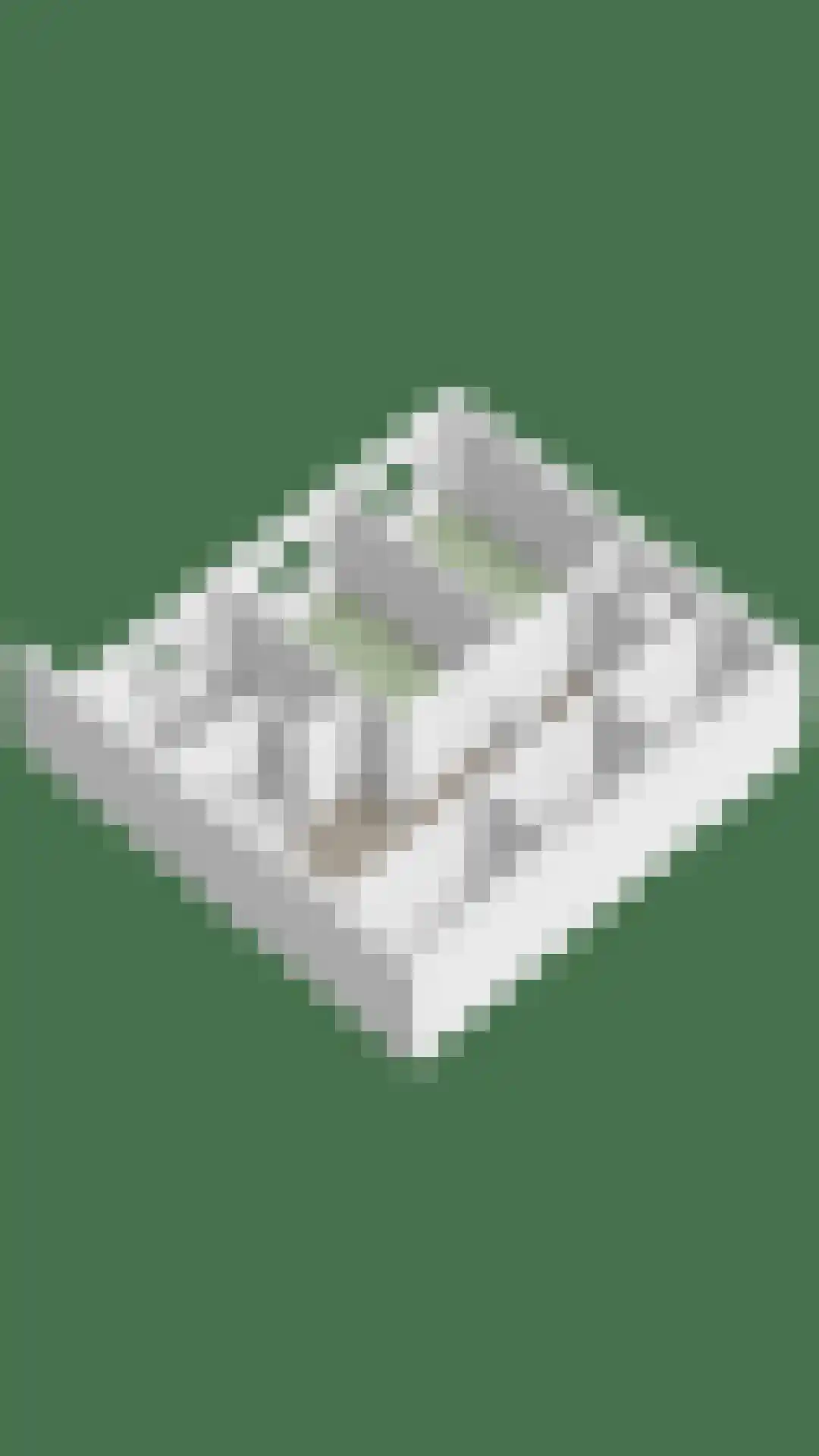 Zuidwelleweg 3 Noordwelle thumbnail 36
