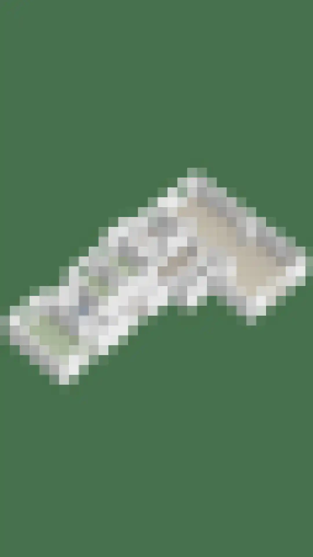 Zuidwelleweg 3 Noordwelle thumbnail 37