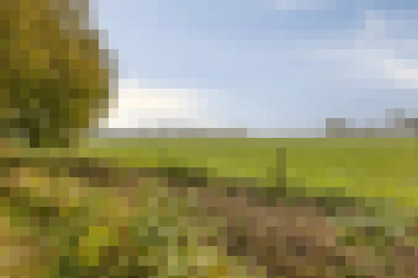 Zuidwelleweg 3 Noordwelle thumbnail 7