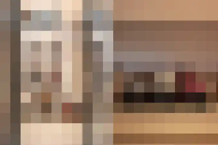 Zuidwende 2 F Hendrik-Ido-Ambacht thumbnail 28