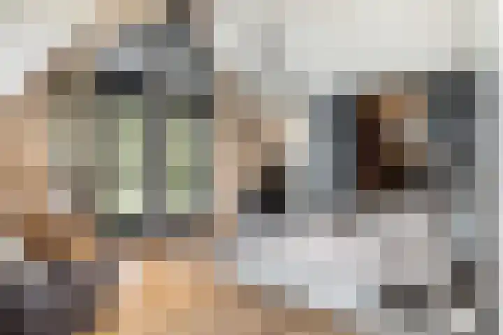 Zuidwende 2 F Hendrik-Ido-Ambacht thumbnail 30