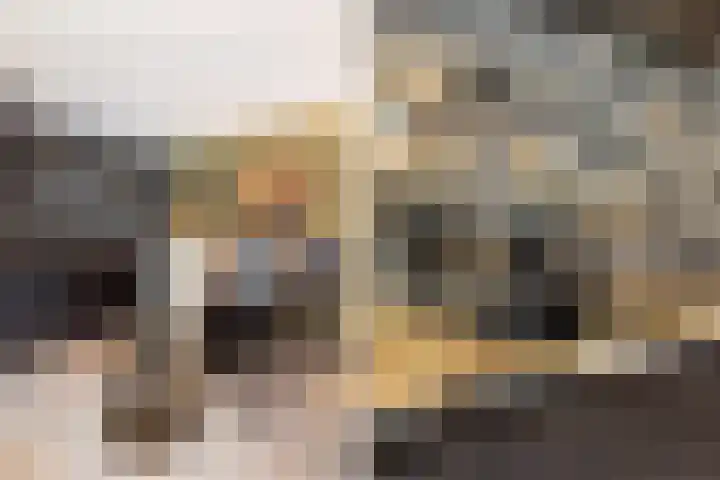 Zuidwende 2 F Hendrik-Ido-Ambacht thumbnail 49