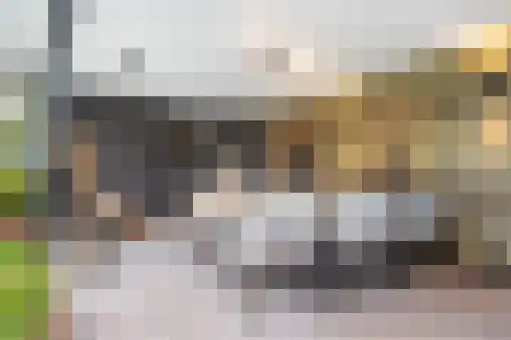 Zuidwende 2 F Hendrik-Ido-Ambacht thumbnail 50