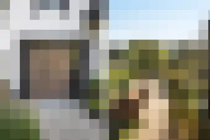 Zuidwende 2 F Hendrik-Ido-Ambacht thumbnail 6