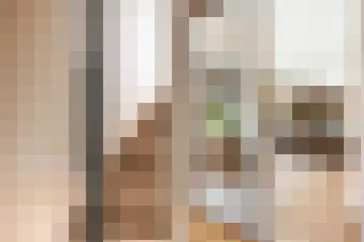 Zuidwende 2 F Hendrik-Ido-Ambacht thumbnail 8