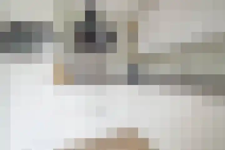 Zuidwende 22 Ten Boer thumbnail 14
