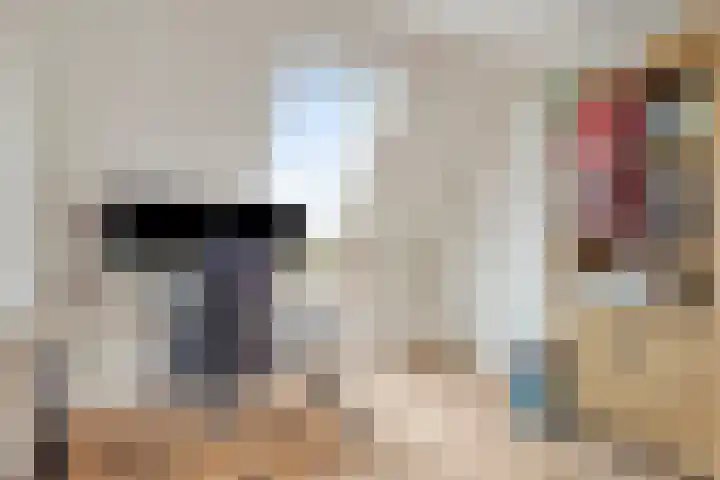 Zuidwende 22 Ten Boer thumbnail 22