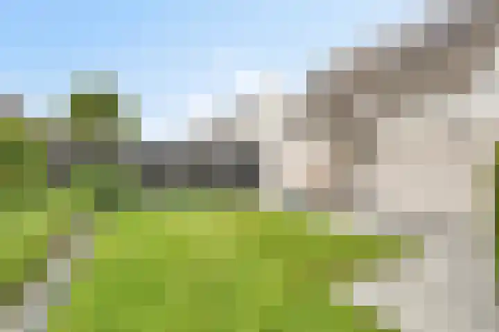 Zuidwende 22 Ten Boer thumbnail 30