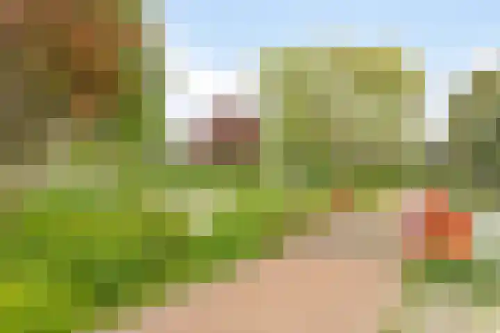 Zuidwende 22 Ten Boer thumbnail 34