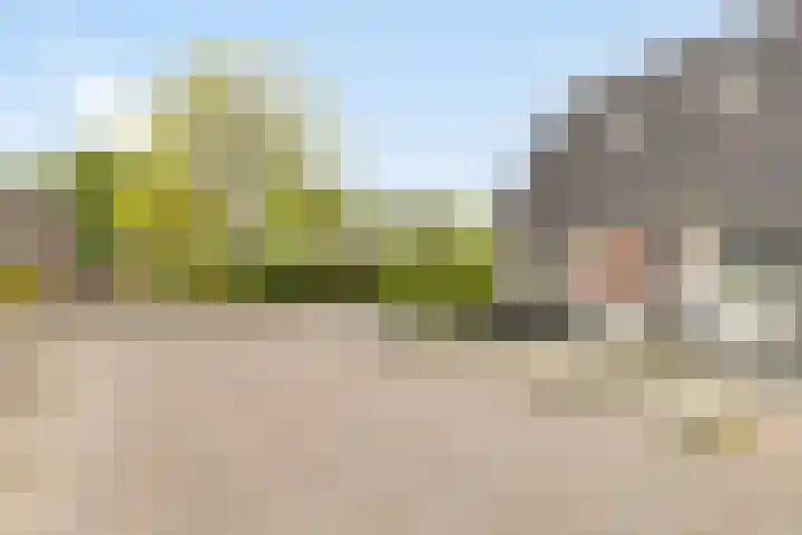 Zuidwende 22 Ten Boer thumbnail 5
