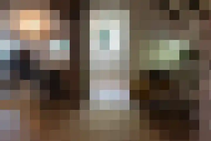 Zuidwending 1 Vriescheloo thumbnail 10