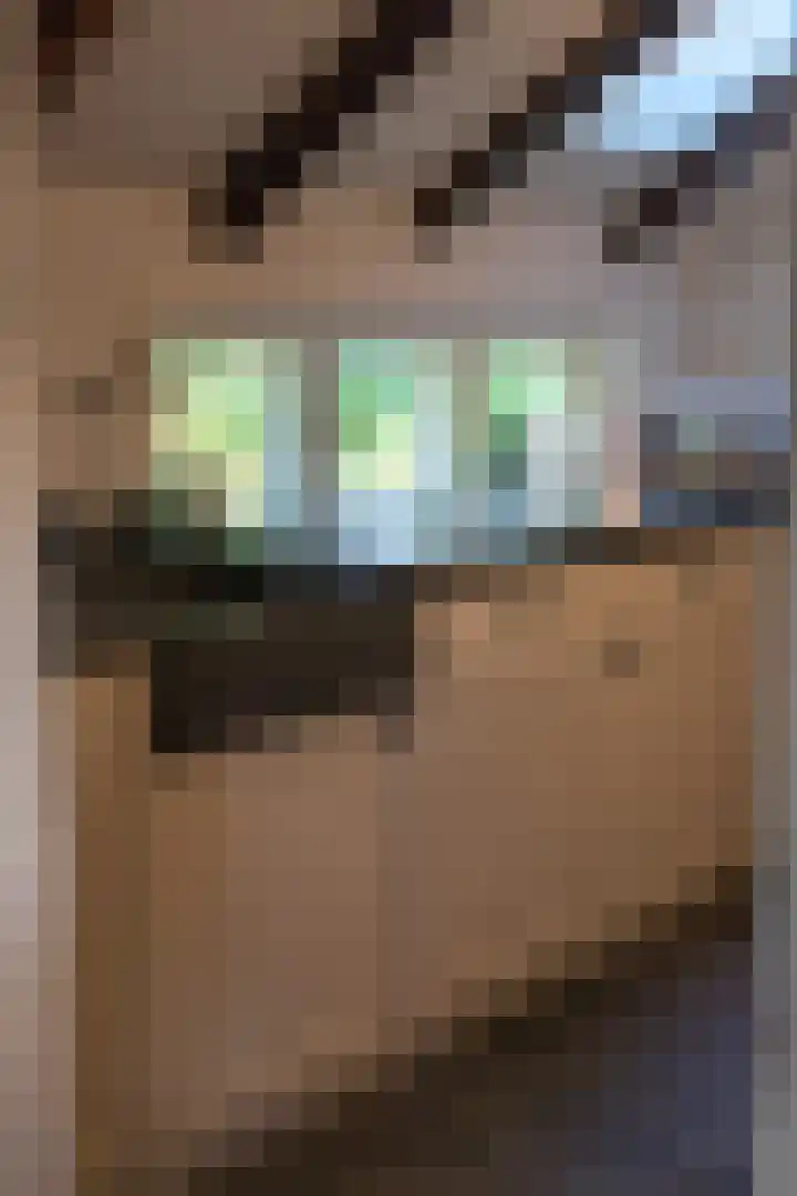 Zuidwending 1 Vriescheloo thumbnail 18