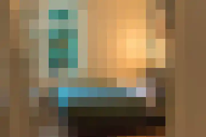Zuidwending 1 Vriescheloo thumbnail 22