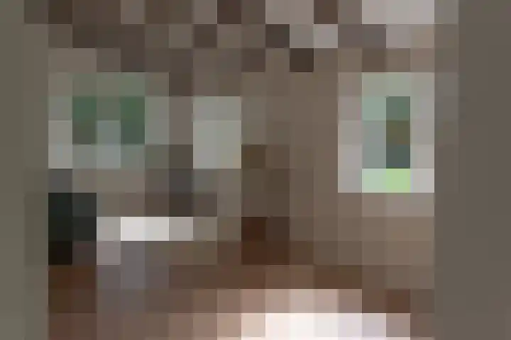 Zuidwending 1 Vriescheloo thumbnail 26