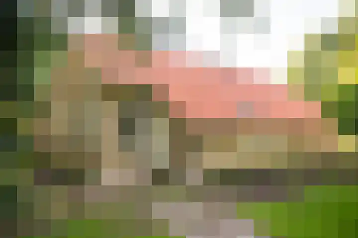 Zuidwending 1 Vriescheloo thumbnail 29