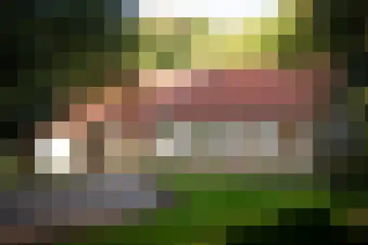 Zuidwending 1 Vriescheloo thumbnail 30