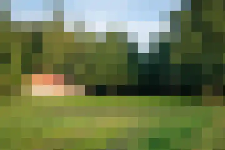 Zuidwending 1 Vriescheloo thumbnail 32