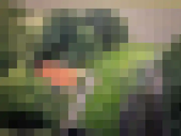 Zuidwending 1 Vriescheloo thumbnail 35