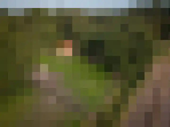 Zuidwending 1 Vriescheloo thumbnail 36