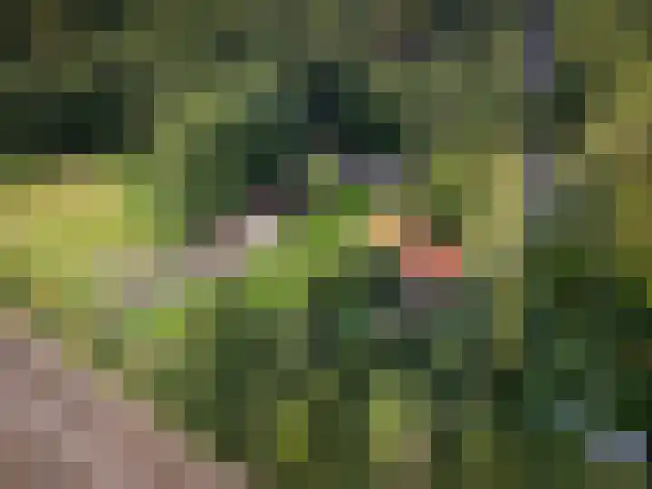 Zuidwending 1 Vriescheloo thumbnail 38