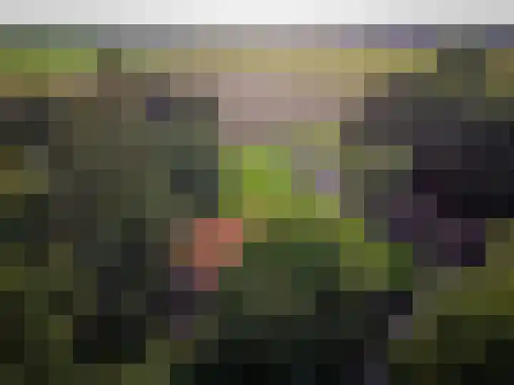 Zuidwending 1 Vriescheloo thumbnail 40