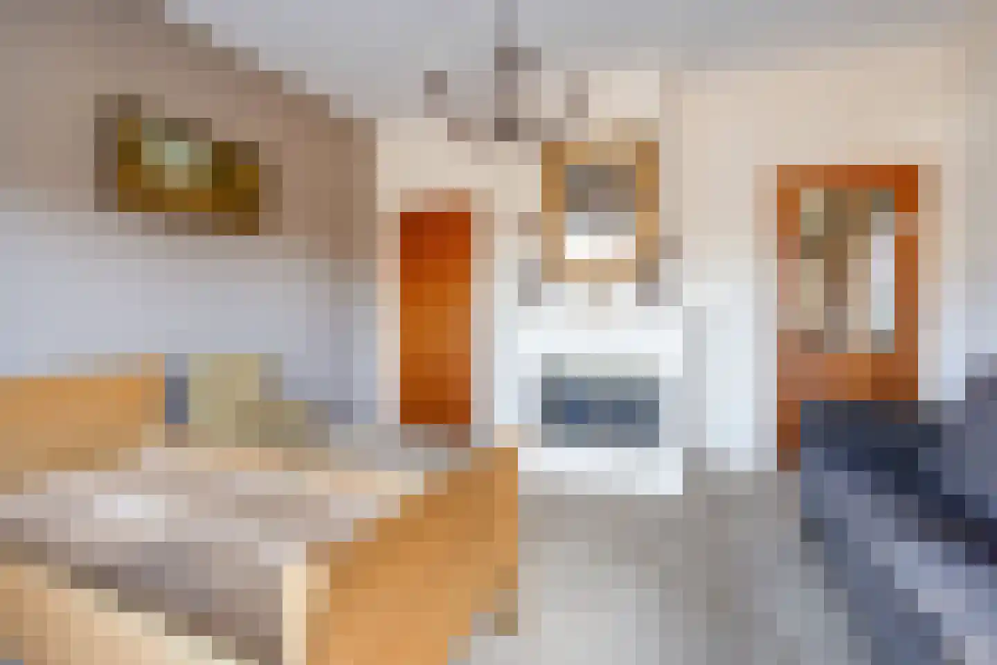 Zuidwendingerweg 20 Nieuwe Pekela thumbnail 14