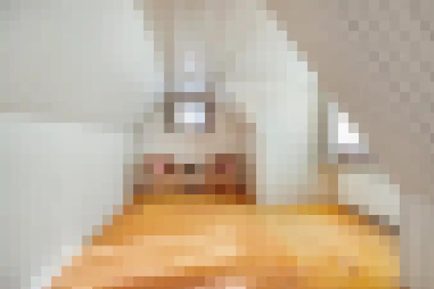 Zuidwendingerweg 20 Nieuwe Pekela thumbnail 25