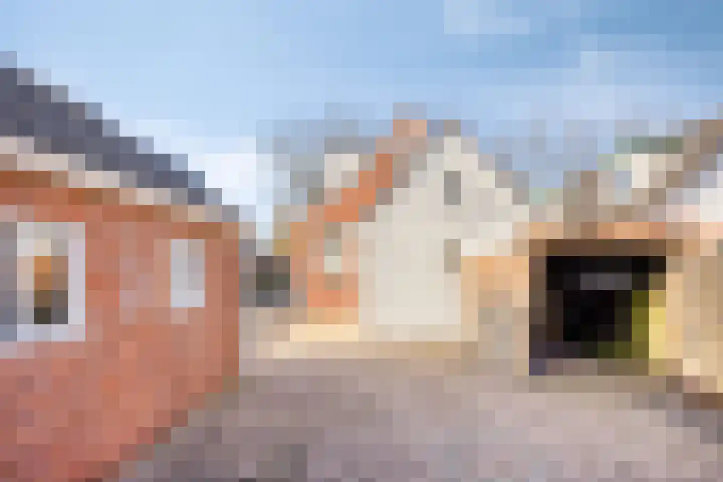 Zuidwendingerweg 20 Nieuwe Pekela thumbnail 32