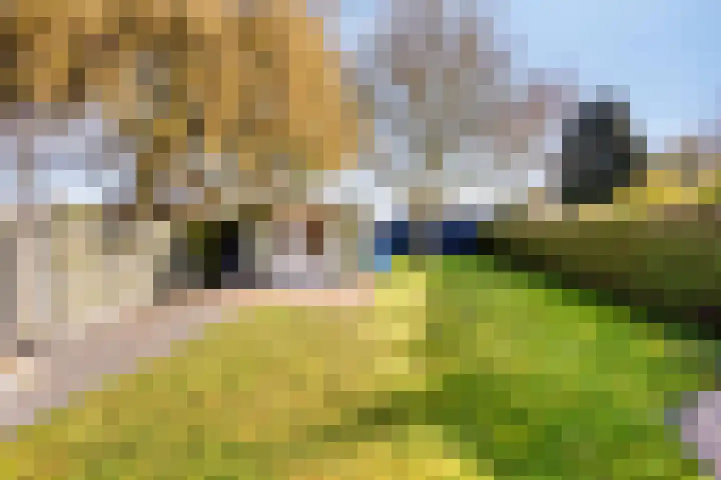 Zuidwendingerweg 20 Nieuwe Pekela thumbnail 34