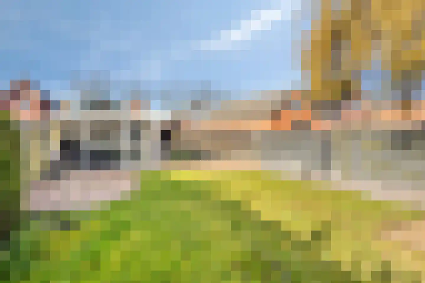 Zuidwendingerweg 20 Nieuwe Pekela thumbnail 36
