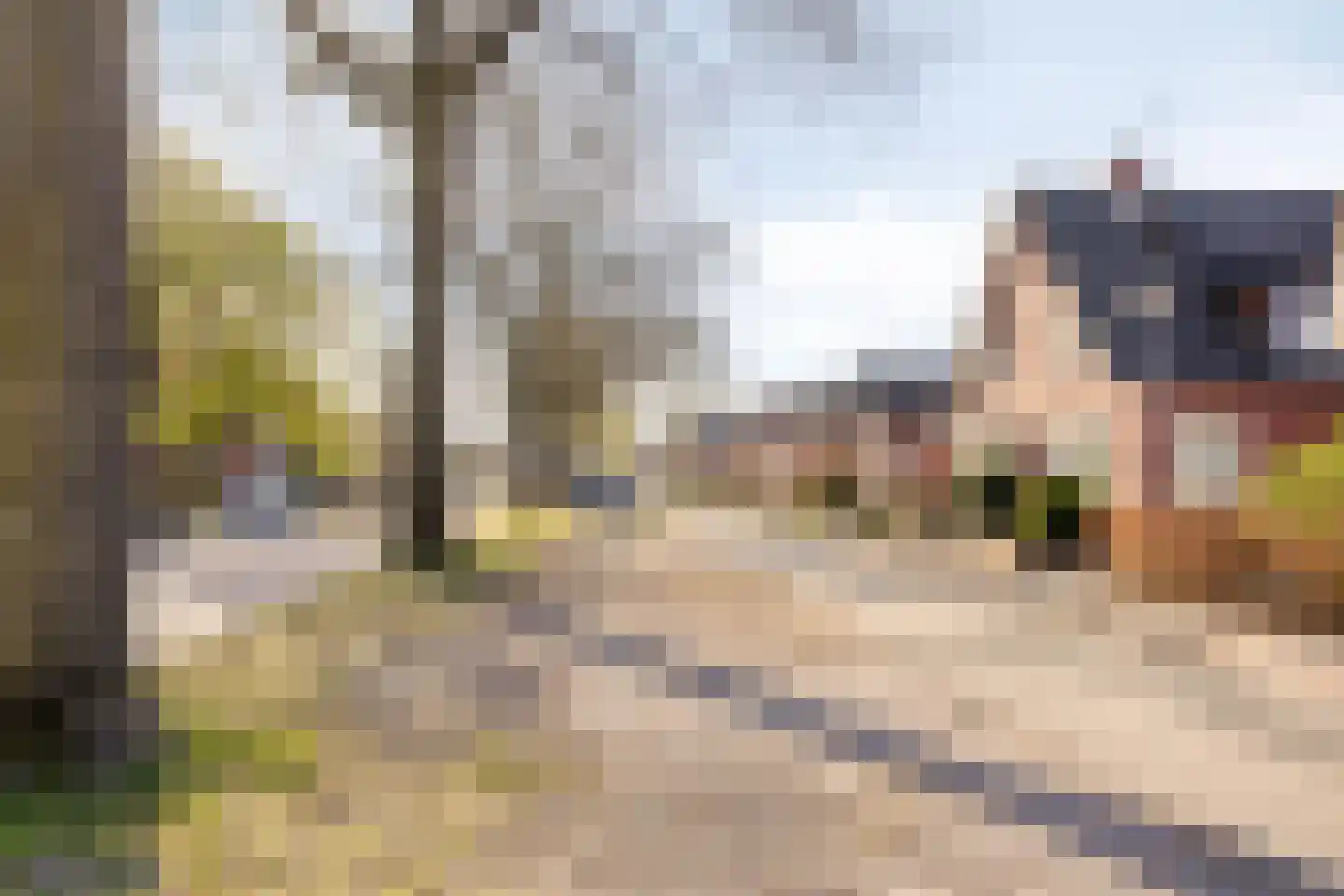 Zuidwendingerweg 20 Nieuwe Pekela thumbnail 40