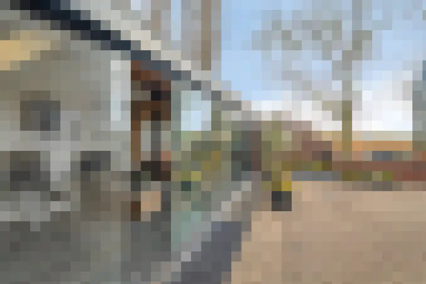 Zuidwenk 59 Bunschoten-Spakenburg thumbnail 49