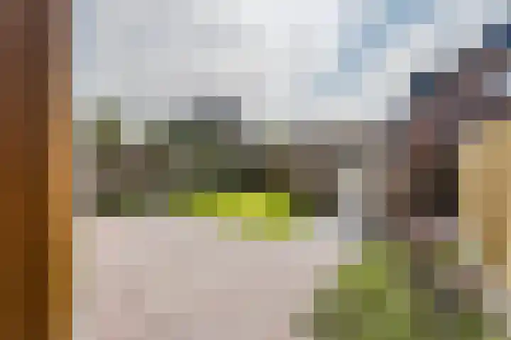 Zuidwenk 74 b Bunschoten-Spakenburg thumbnail 12