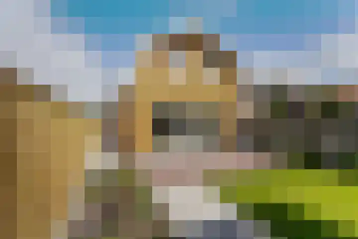 Zuidwenk 74 b Bunschoten-Spakenburg thumbnail 4