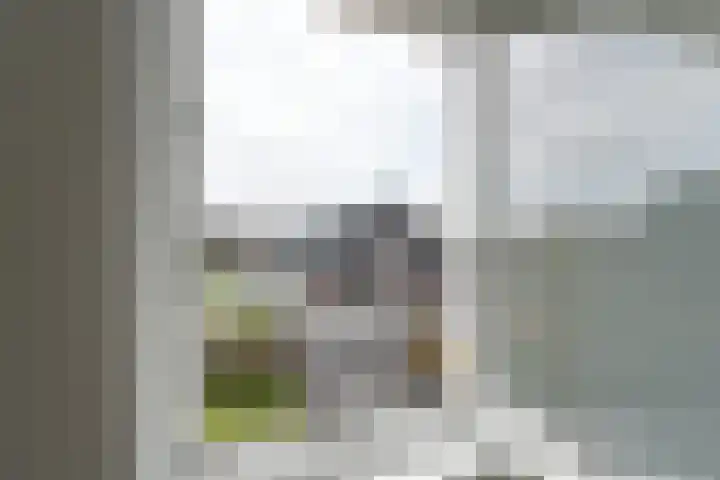 Zuidwenk 74 b Bunschoten-Spakenburg thumbnail 56