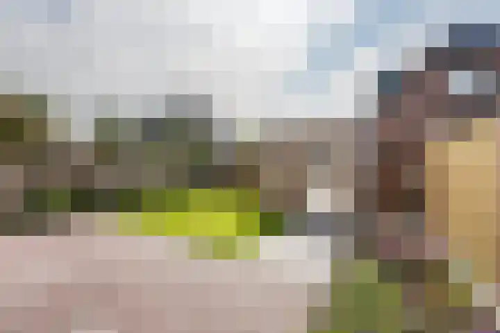 Zuidwenk 74 b Bunschoten-Spakenburg thumbnail 6