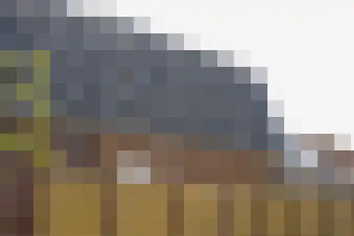 Zuidwenk 74 b Bunschoten-Spakenburg thumbnail 7