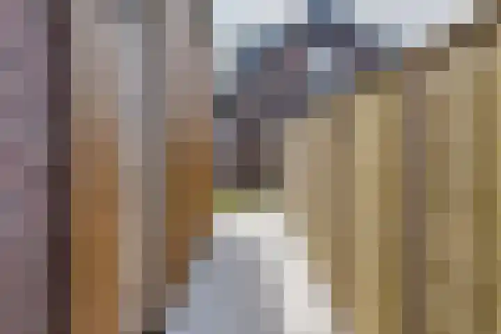 Zuidwenk 74 b Bunschoten-Spakenburg thumbnail 8
