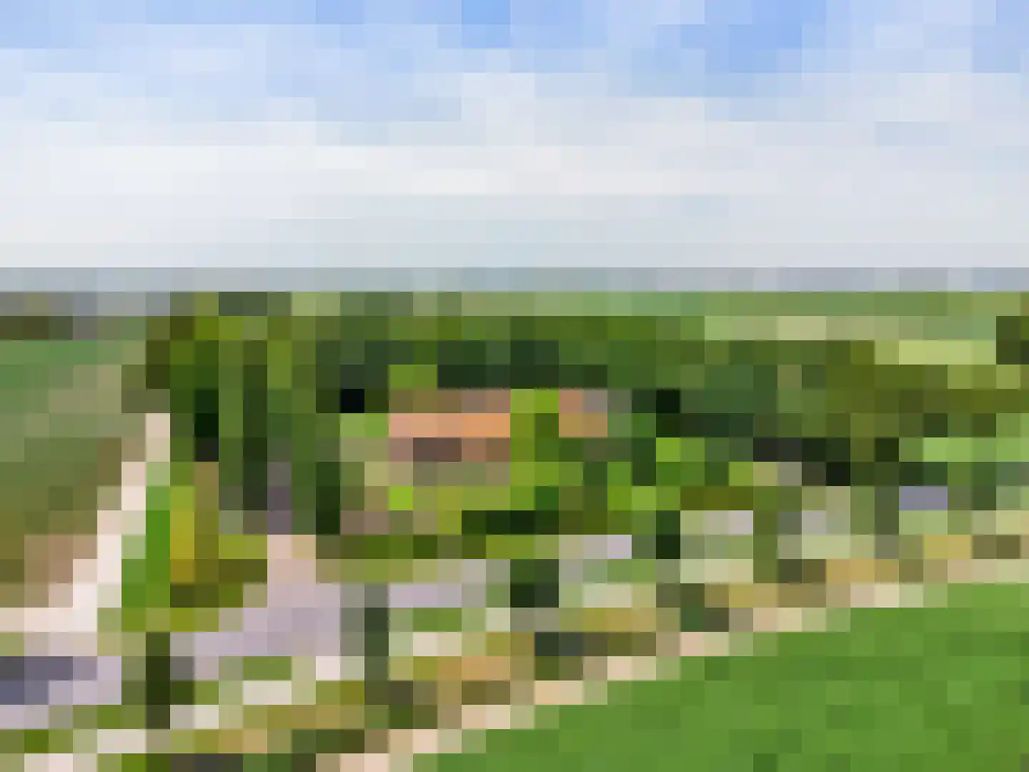 Zuidwesterringweg 3 1 Nagele thumbnail 4