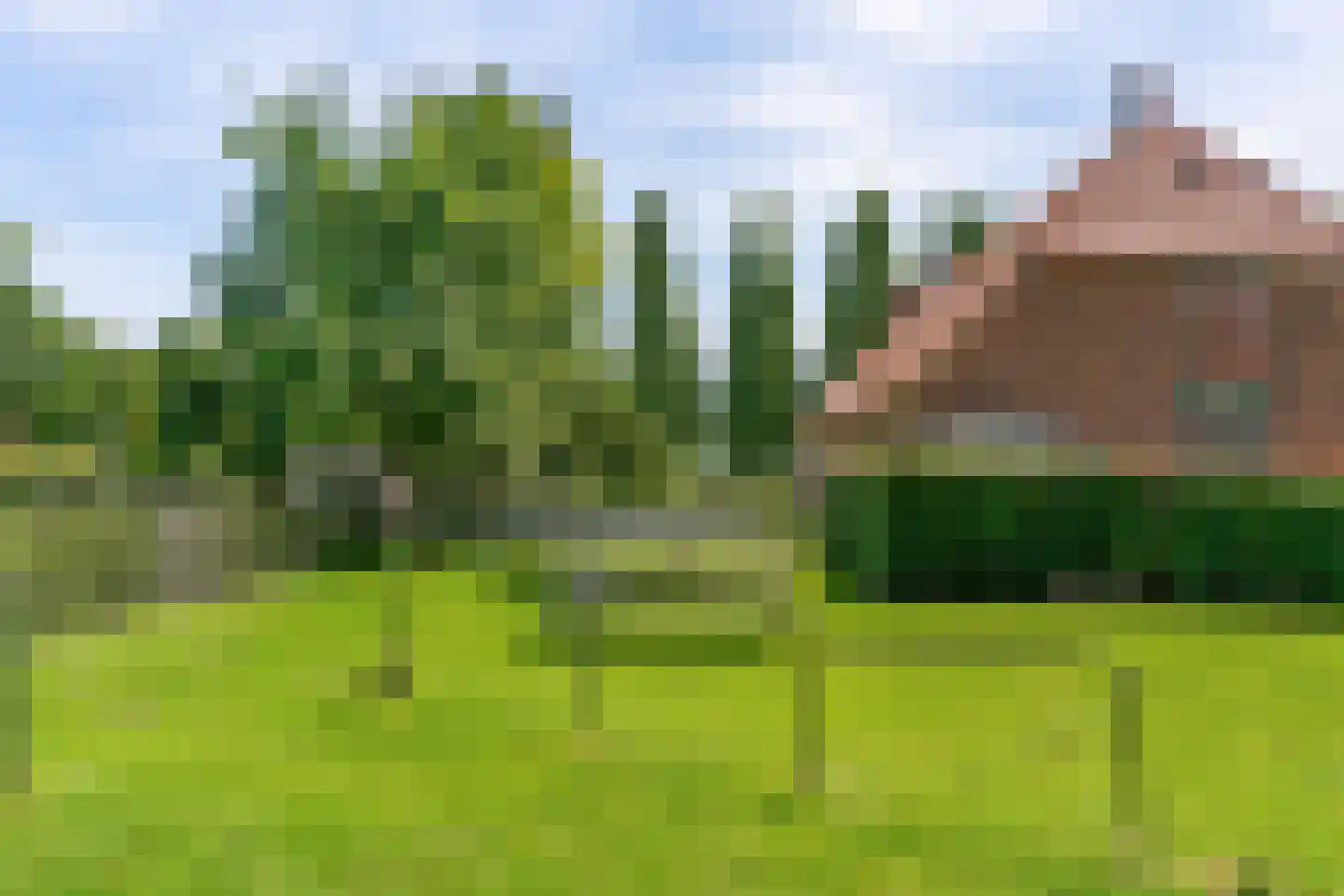 Zuidwesterringweg 3 1 Nagele thumbnail 52
