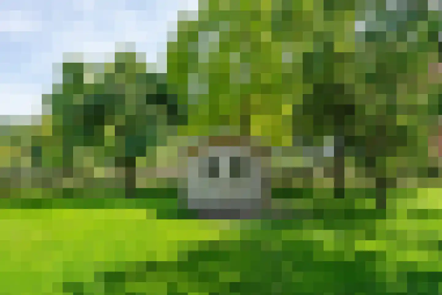 Zuidwesterringweg 3 1 Nagele thumbnail 55