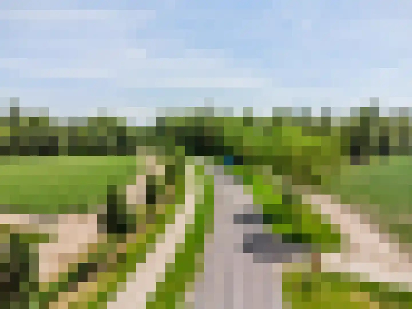 Zuidwesterringweg 3 1 Nagele thumbnail 65